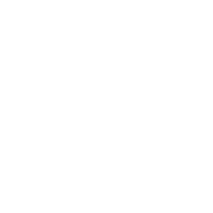 Microsoft .NET logo in white on a transparent background, featuring the text '.NET' in bold, simple typography.